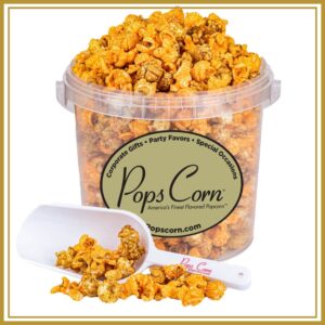 Caramel & Cheese Popcorn Mix – 1.5 lb (24 oz) Gourmet Gift Container | Sweet & Savory Popcorn | Pops Corn®